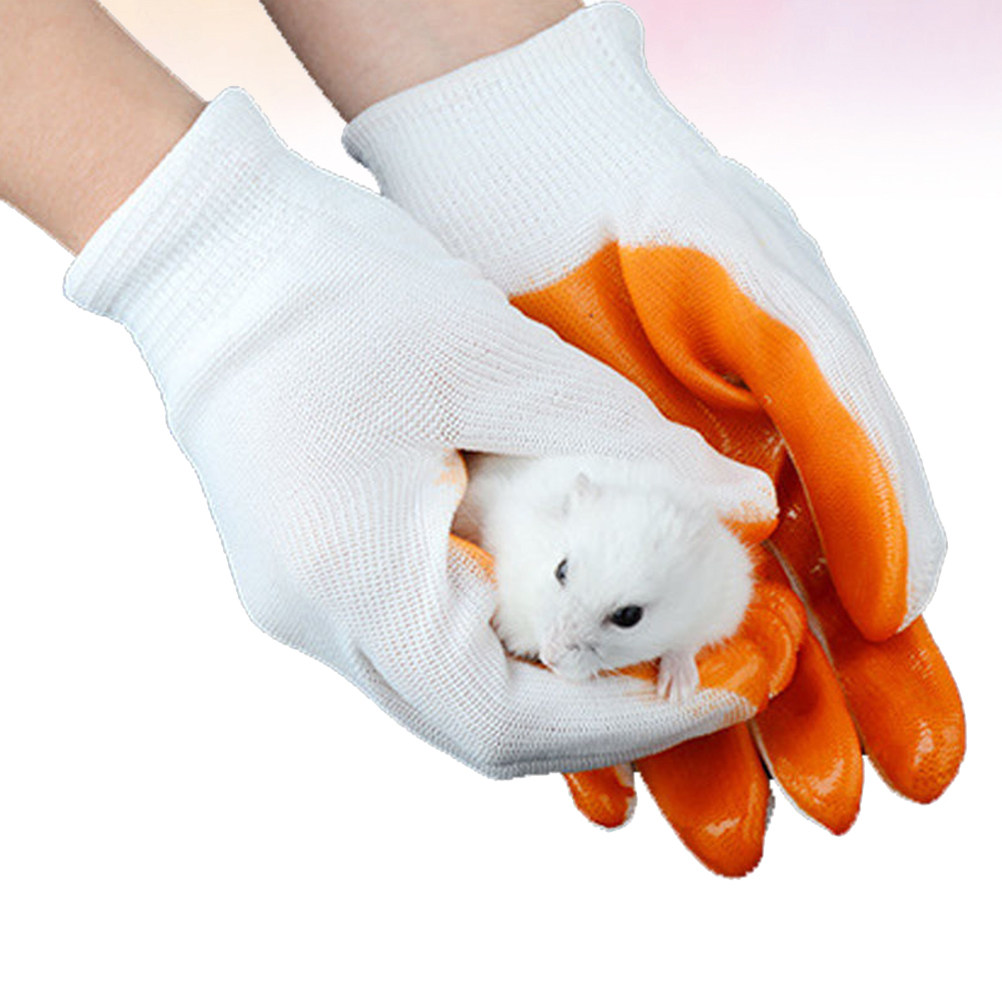 Küçük Evcil Hayvanlar İçin 1 Ç - Cut Resistant Glove incelemesi ve fiyatı